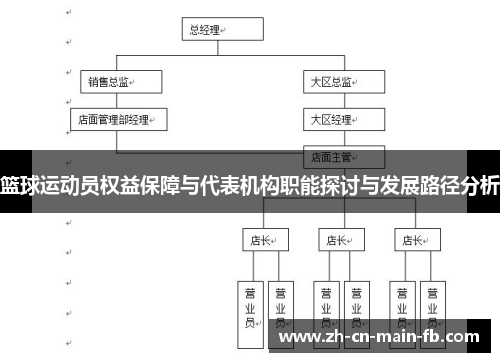 篮球运动员权益保障与代表机构职能探讨与发展路径分析 篮球运动员权益保障与代表机构职能探讨与发展路径分析