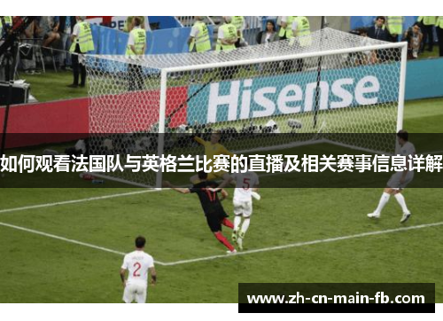 如何观看法国队与英格兰比赛的直播及相关赛事信息详解