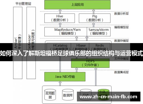 如何深入了解斯坦福桥足球俱乐部的组织结构与运营模式
