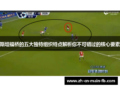 斯坦福桥的五大独特组织特点解析你不可错过的核心要素