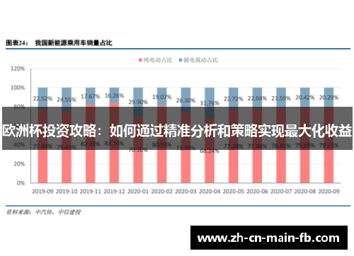 欧洲杯投资攻略：如何通过精准分析和策略实现最大化收益