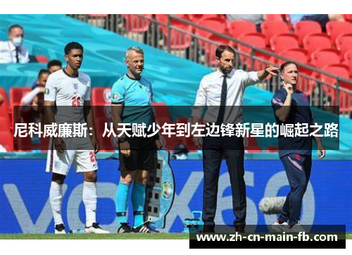 尼科威廉斯：从天赋少年到左边锋新星的崛起之路