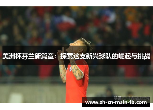 美洲杯芬兰新篇章：探索这支新兴球队的崛起与挑战