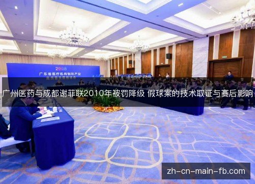 广州医药与成都谢菲联2010年被罚降级 假球案的技术取证与赛后影响